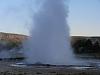 Yellowstone NP