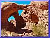 827 Double Arch